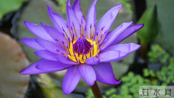 12月5日至11日，辰龙，下周开始，可能会有事发生