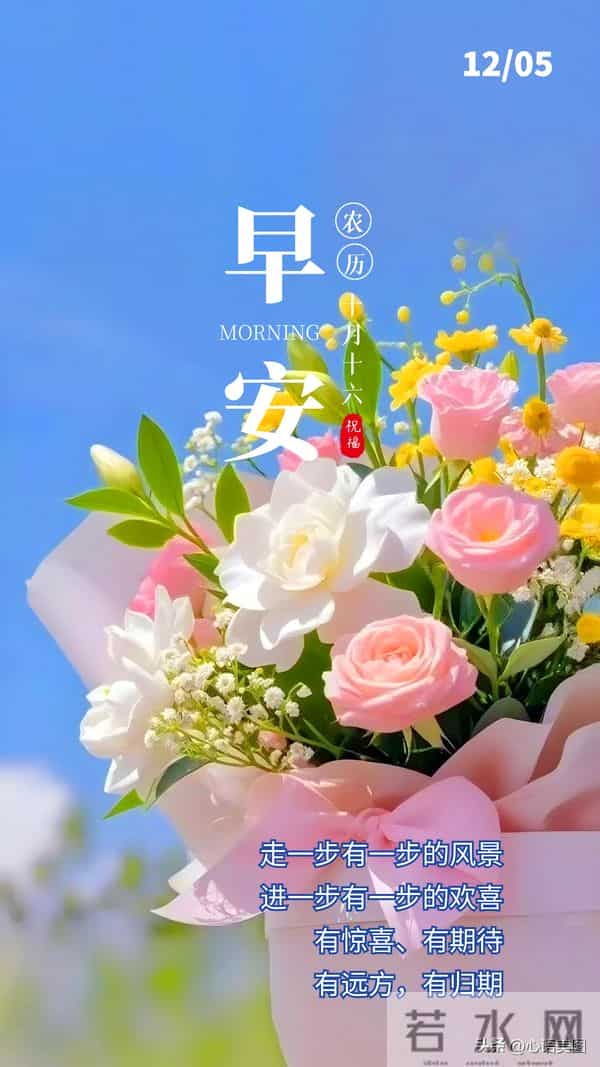 早安正能量图片文案:让努力照亮今天,未来自会可期