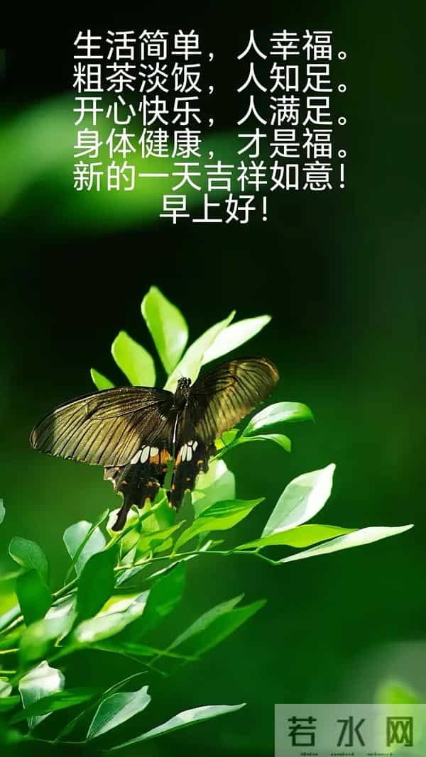 愿你冬日有暖,寒不侵骨;愿你万事顺意,所求皆得。