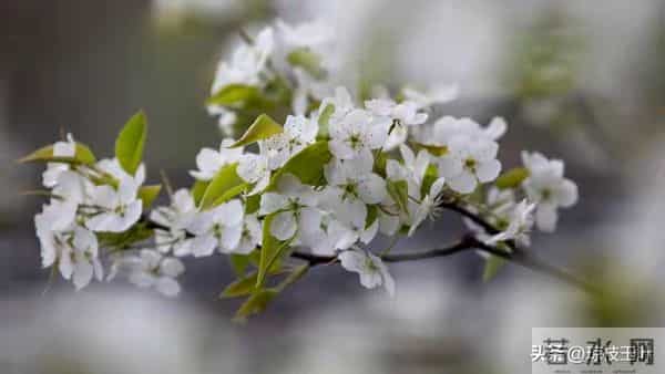前夫退休跟我分居一年,回来跟我说:离婚吧,她已经有了我的孩子