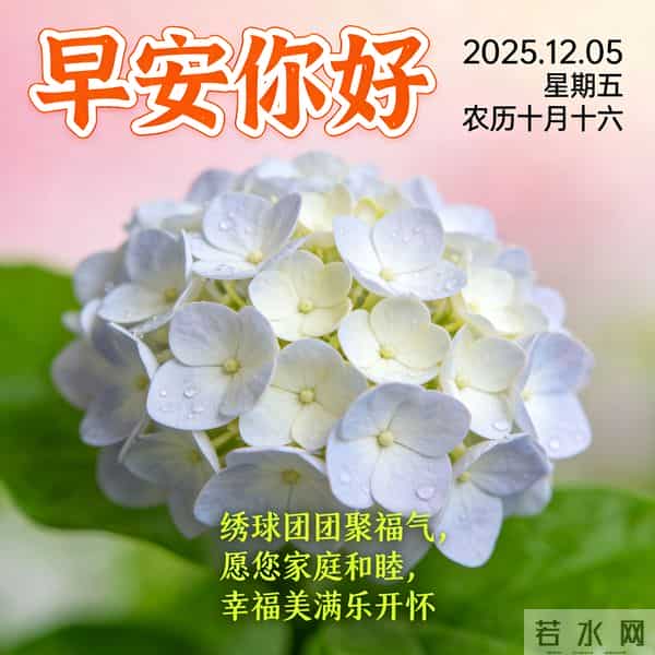 2025.12.05 早安祝福 围巾手套御寒风 亲友叮咛情意暖 早安幸福万年长