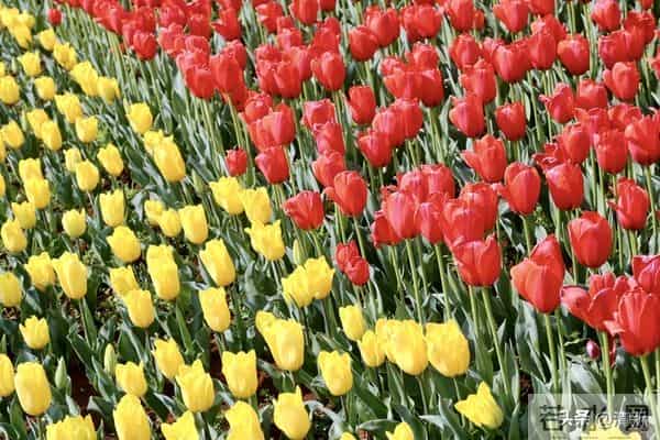 夫妻到了七十岁，还能同居，只有三种情况