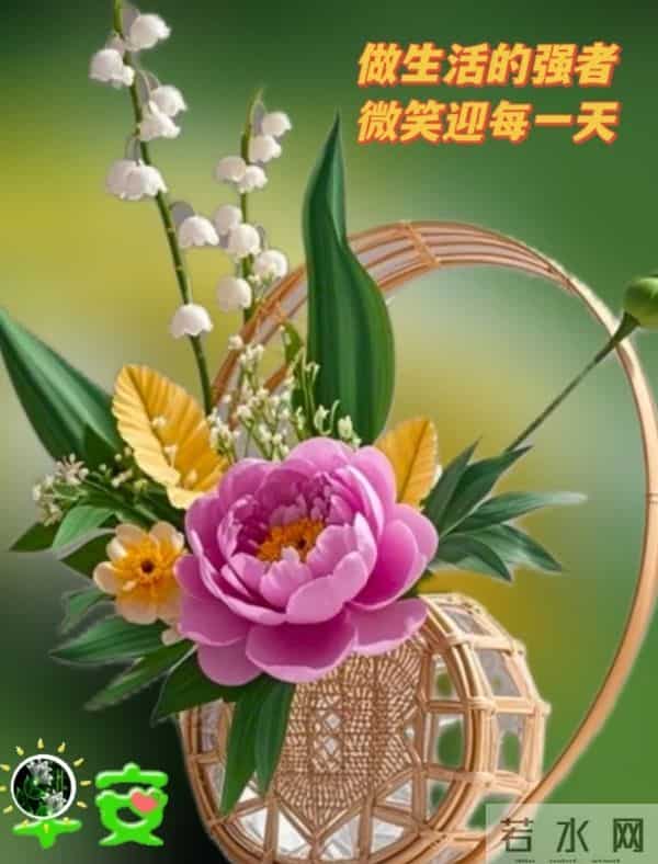 2025年12月5日早上好 早安精美美图 早安周五愉快 早安温馨祝福语