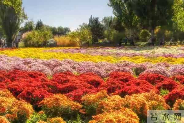 震惊现实：原来不论有钱没钱，大多数人真的是在“凑数”过日子