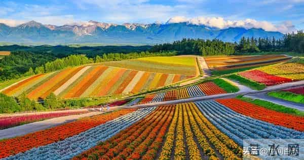 醍醐灌顶!真正的上等风水,无关长相口才,就3个关键词