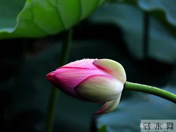 一定要记住，无论到哪里，都不要话多，也不要和任何人吐露太多