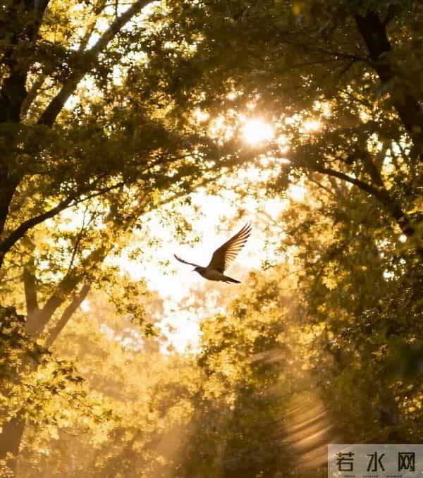 人生最顶级的活法,是学会给内心“做减法”