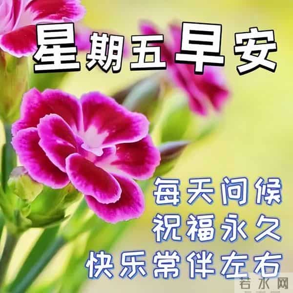 最新漂亮早上好问候图片,每天清晨激励语,愿你健康如意幸福安康