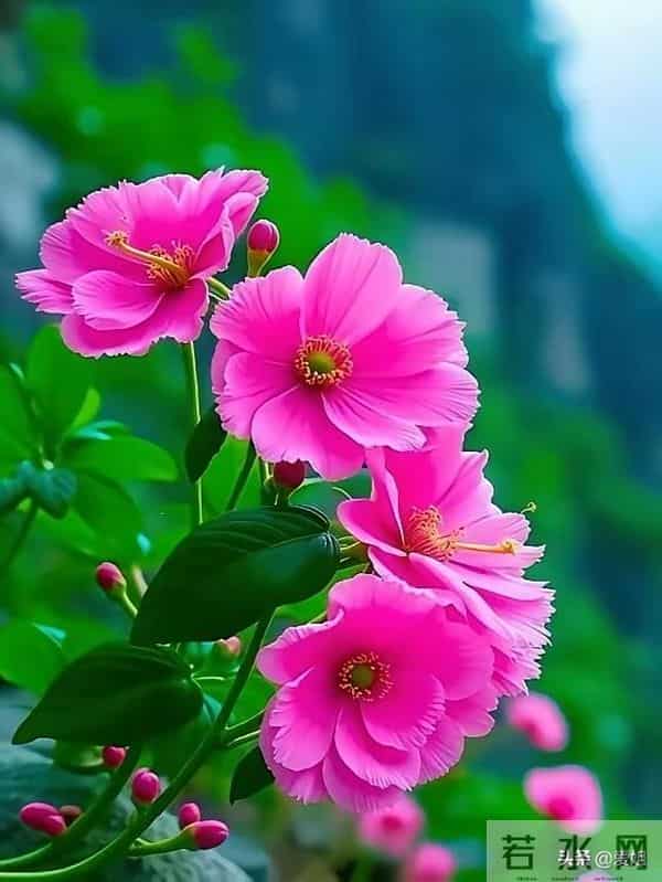 熬过今天,不顺都会彻底清零,好运终于降临