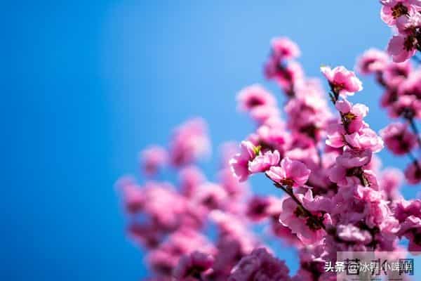 两性关系:所有女人请记住,选男人就一条,就选疼你的,别再犹豫