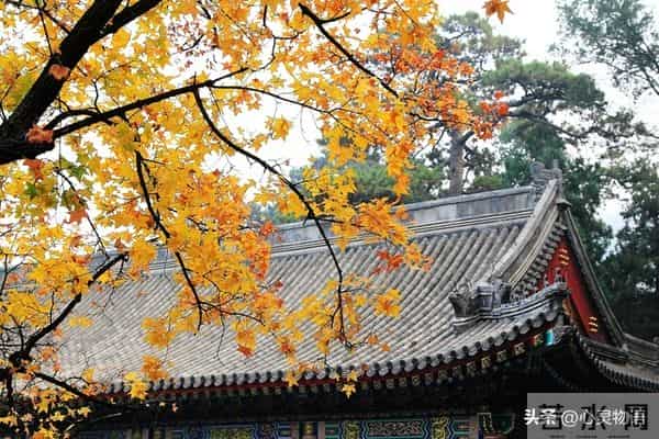 异性之间,偷偷做过这些事,就是彼此动了情