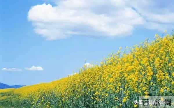 20条人性真相：看透这些，人生开挂不是梦