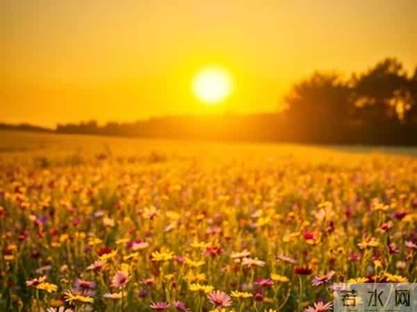 女人是否喜欢你，这三个“不拒绝”就是答案