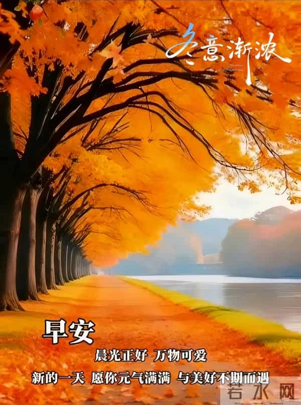 冬日晨光暖，福气踏雪来～ 事事顺意不添愁，一顺百顺福满怀，早安