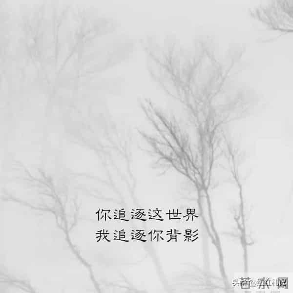 既然无缘，何须誓言。