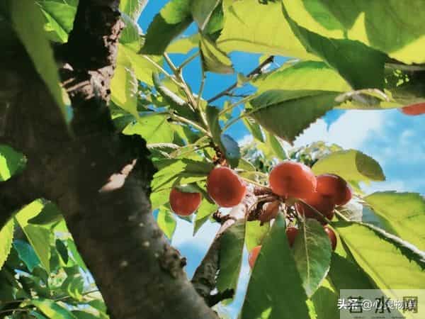 经历两次离婚,我明白了-所有夫妻关系的破裂,都始于同一个错误