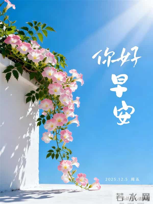 早安正能量图片文案:让努力照亮今天,未来自会可期