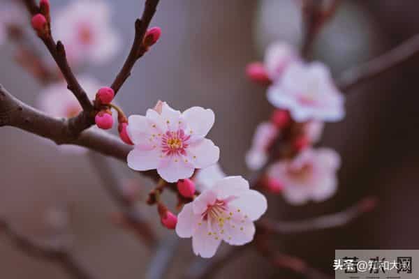 如果你处在40-55岁这个阶段，能做到以下几条，恭喜你活明白了