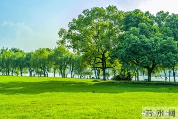 经历两次离婚,我明白了-所有夫妻关系的破裂,都始于同一个错误