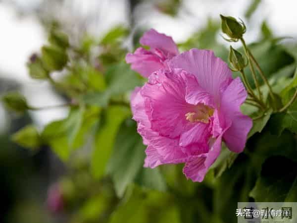 老了才明白-独来独往,没有朋友的人,往往具备这些优秀品质