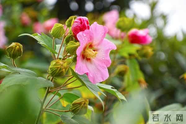 人品好的人,无论到什么年纪,都不会缺人爱