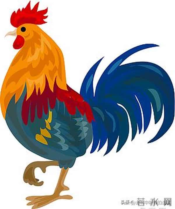 给属鸡人的忠告：这2个人，见面越多福运越散！