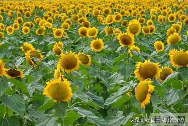 守住人生底线，别让善良被透支，被别人标准左右，你真活得自由吗