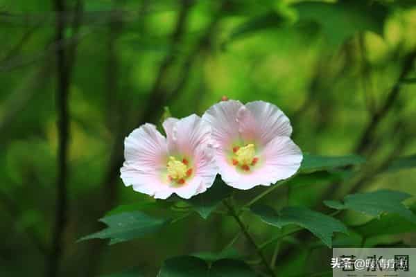 老了才明白-独来独往,没有朋友的人,往往具备这些优秀品质