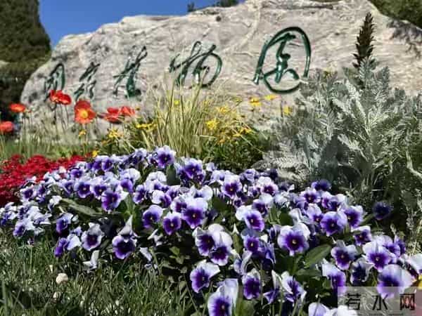 震惊现实:原来不论有钱没钱,大多数人真的是在“凑数”过日子