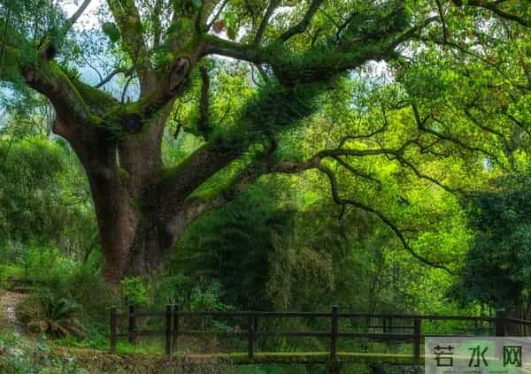 这篇千古奇文,短短300余字,却道尽世态炎凉,建议收藏!