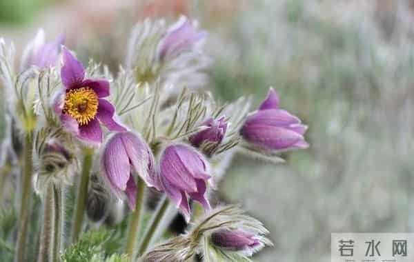 赶走我妈，公婆如愿住进来，2周后老公把人送走，再不敢嘴硬逞强