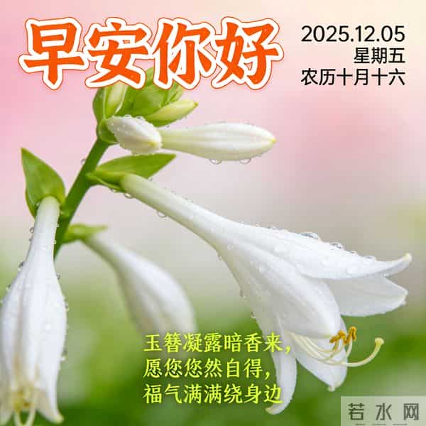 2025.12.05 早安祝福 围巾手套御寒风 亲友叮咛情意暖 早安幸福万年长