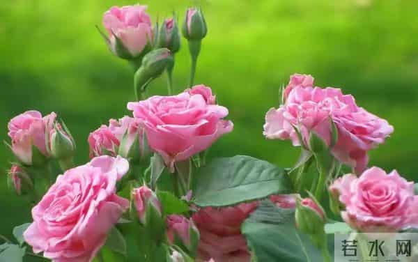 女人长期不碰异性,3个危害藏不住