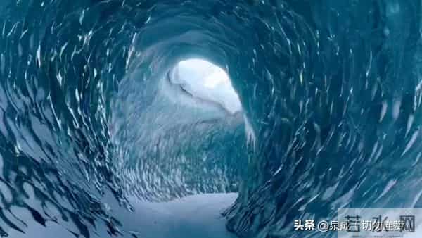 人过五十,永远不要在熟人面前,说以下6句话:谁说谁后悔!