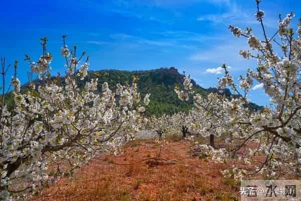 经历两次离婚，我明白了-所有夫妻关系的破裂，都始于同一个错误