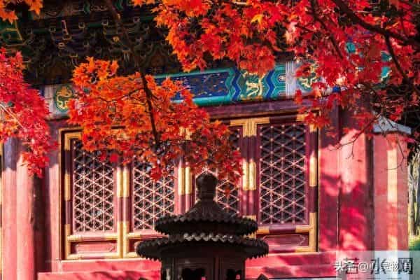 异性之间,偷偷做过这些事,就是彼此动了情