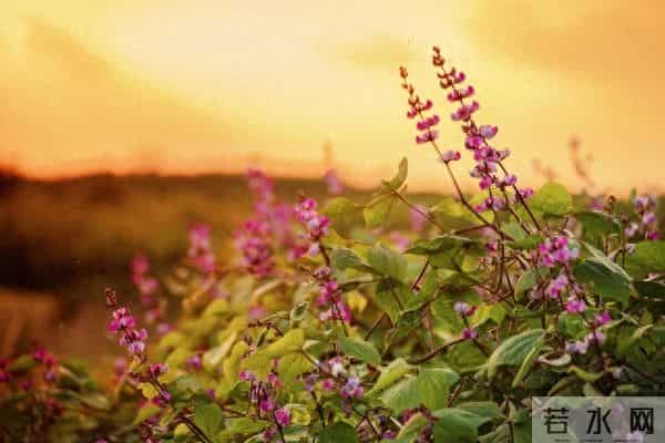 遇见你,三生有幸,想念你,情深一生