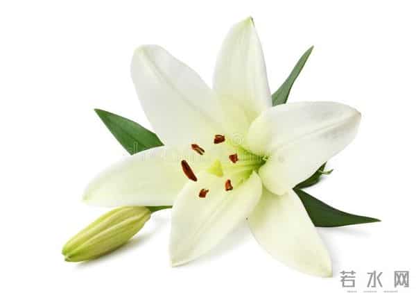 事实上,男人的三个不允许,是离不开你的标志