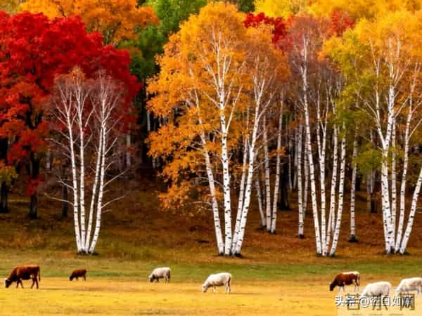 人过七十,跟子女最好的相处方式,就这 9 个字