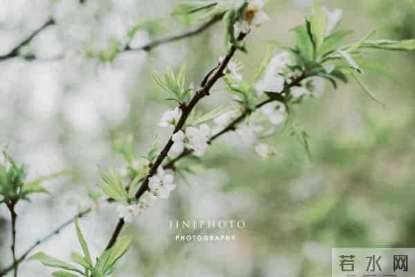 相思入骨,半生沉沦皆是你