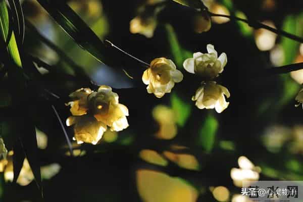 经历两次离婚,我明白了-所有夫妻关系的破裂,都始于同一个错误