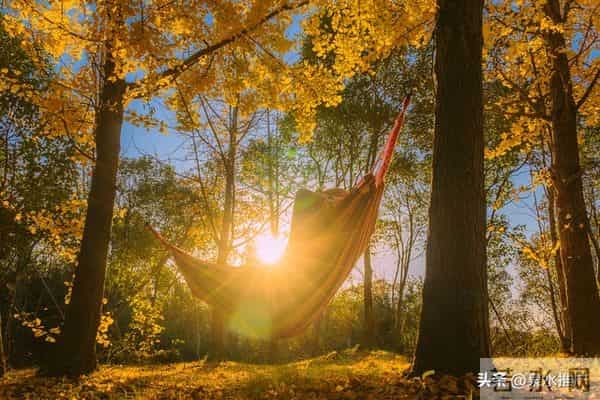 既然是生活就免不了酸甜苦辣,既然是人生就免不了人情冷暖。