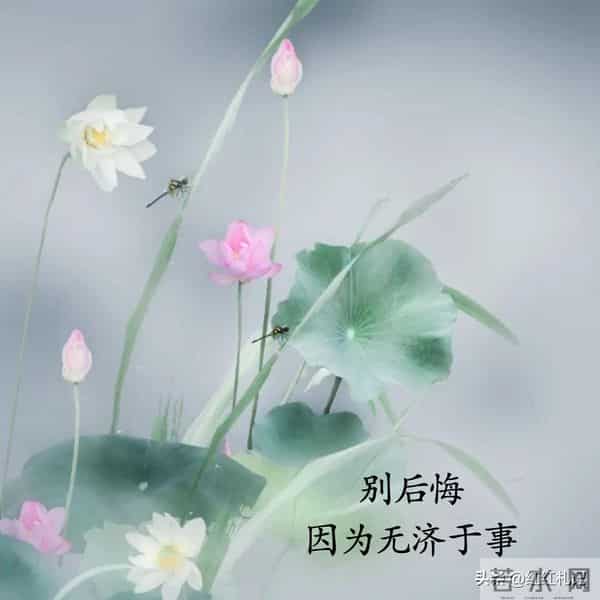 既然无缘，何须誓言。