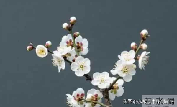 “人若奸,一看便知”:有这三种特征的人,你要多留个心眼