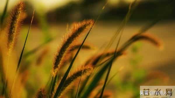 夫妻生活里，女人最渴望的从不是物质，过来人3句实话，戳中人心