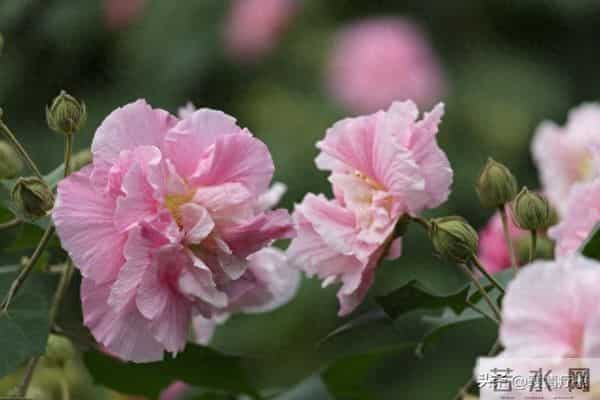 老了才明白-独来独往,没有朋友的人,往往具备这些优秀品质