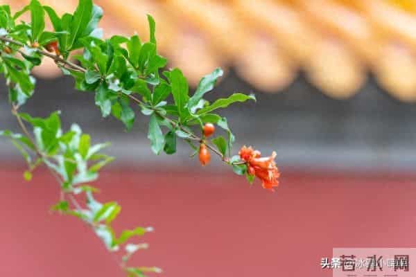 活得久的男人,没几个靠药,大多靠这三件事“想通了”