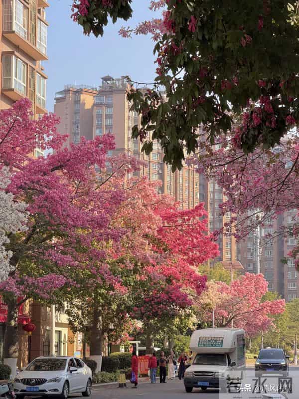 老人分两种,旺家和败家,看看你是哪一种