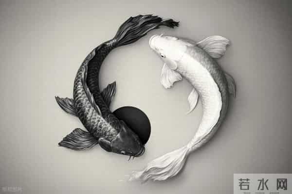 高阶双鱼座的处世智慧:随缘惜缘不攀缘