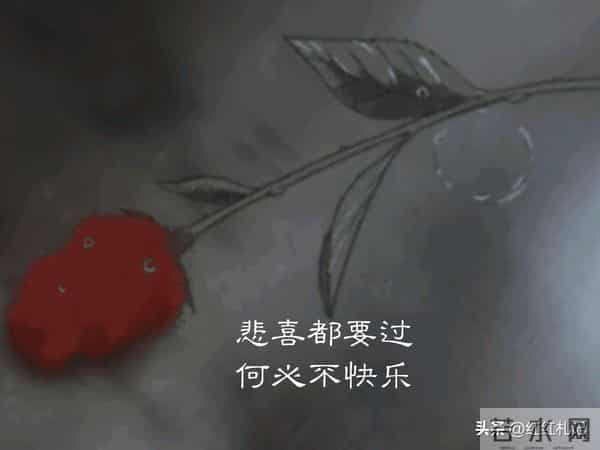 既然无缘，何须誓言。